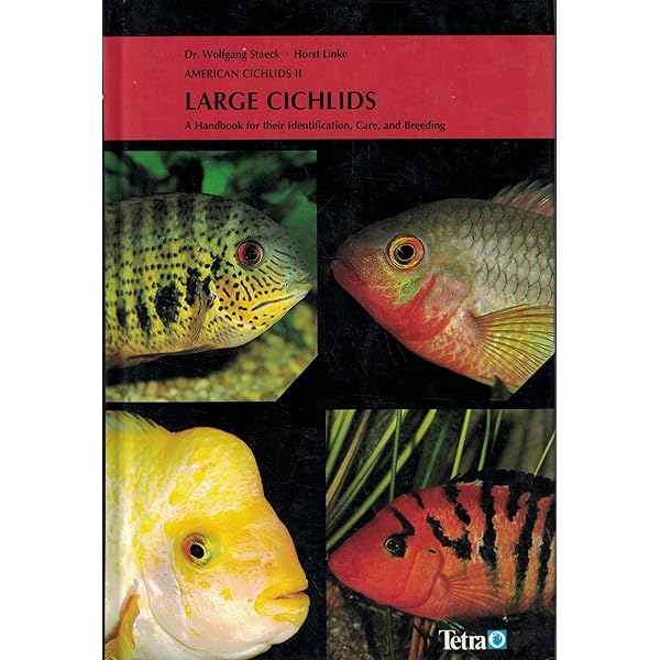AFRICAN CICHLID HANDBOOK: A detailed guide to raising and caring