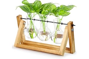 GARDEN GENIUS Plant Propagation Station, Plant Terrarium with Wooden Stand, Propagation Vases for Plants with Metal Swivel Holder for Indoor Hydroponics Plants for Home Garden Office Decoration - 3 Bulb Vase