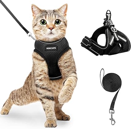 Aokcats Harnais Et Laisse Pour Chat Harnais Pour Chaton Reglable Doux Et Jeu De Laisse Pour Marcher Harnais Gilet Avec Bandes Reflechissantes Ajustement Confortable Pour Chiot S Noir Amazon Fr Cuisine Maison