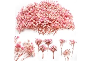 Glicrili 65Pcs Mini Dried Baby's Breath Flowers for Resin Art Craft DIY, 4000+ Natural Pink Bulk Flowers, Pressed Gypsophila 