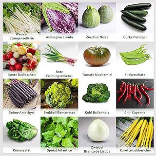 Gartengemüse Pflanzen Samen Set | Saatgut und Anzuchtset mit 16 Gemüse Sorten und 445 Pflanzensamen aus Portugal | 100% Natur Saat (Keine Chemie/künstliche Wachstums-Helfer)