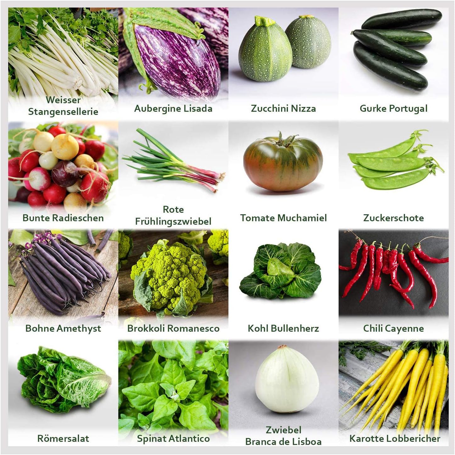 Gartengemüse Pflanzen Samen Set | Saatgut und Anzuchtset mit 16 Gemüse Sorten und 445 Pflanzensamen aus Portugal | 100% Natur Saat (Keine Chemie/künstliche Wachstums-Helfer)