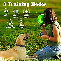 USCAMEL Dog Shock Collar with Remote＆Night LED