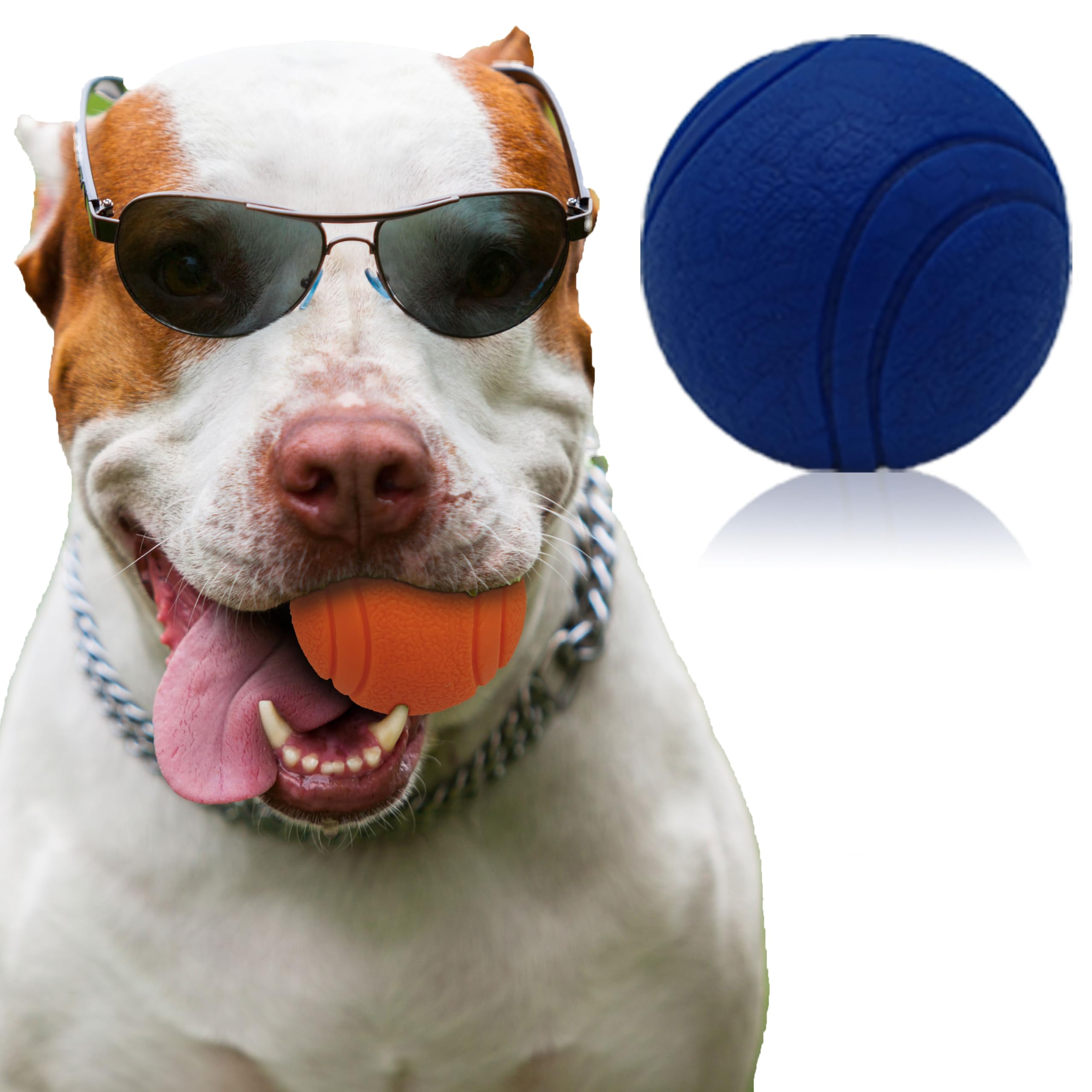 Pet Touch 6cm Solid Core Rubber Ball HIGH BOUNCING Dog Toys Indestructible Virtually Tough Dog Toys Interactive Dog Toys Strong Rubber Balls for dogs (Medium(60mm), Blue)