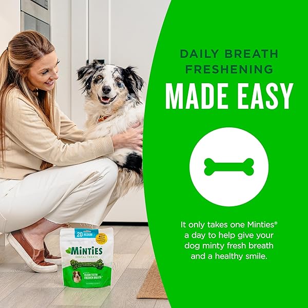 MINTIES DOG DENTAL BONE TREATS, DENTAL CHEWS FOR DOGS 25-50 LBS, 60 COUNT, BRUSHING CHEWS HELPS CLEAN TEETH AND FRESHEN BAD BREATH, REMOVES PLAQUE AND TARTAR, VETERINARIAN RECOMMENDED