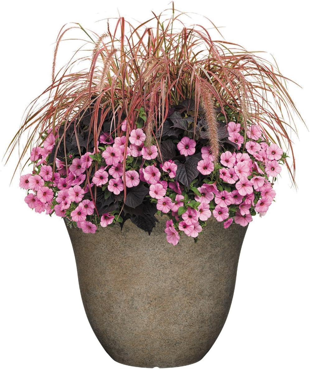 Classic Home and Garden Patio Pot Honeysuckle Planter, 15 Inch, Fossil : Garden & Outdoor