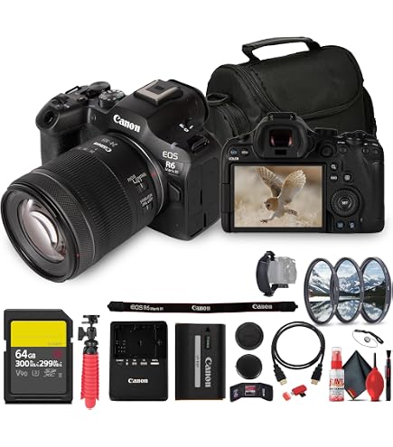 Amazon.com : Canon EOS R6 Mirrorless Digital Camera with 24-105mm