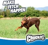 Chuckit Ultra Ball 7 cm Dog Toy One Piece view 6