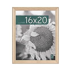 MCS Studio Gallery Classic 16x20 Poster Frame