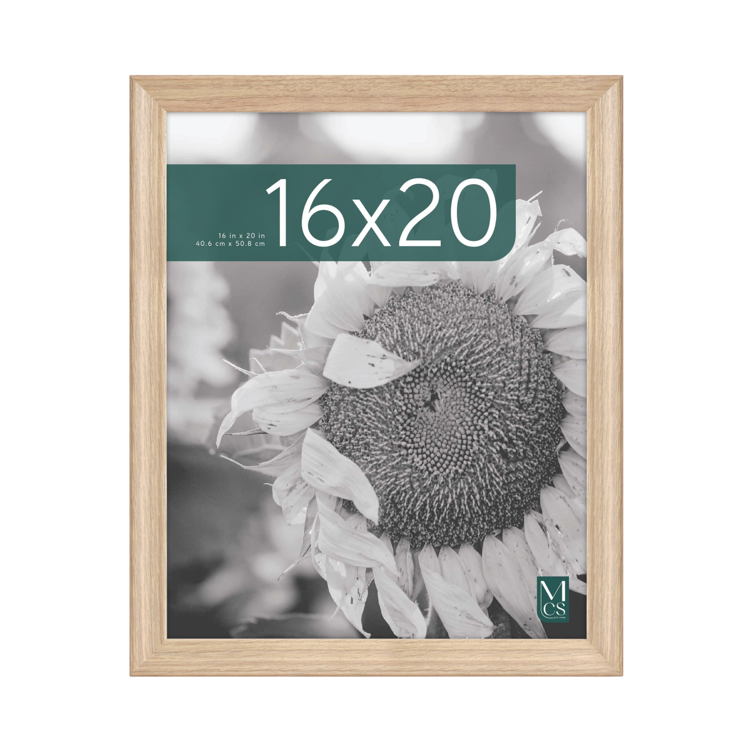 MCS Studio Gallery Classic 16x20 Poster Frame