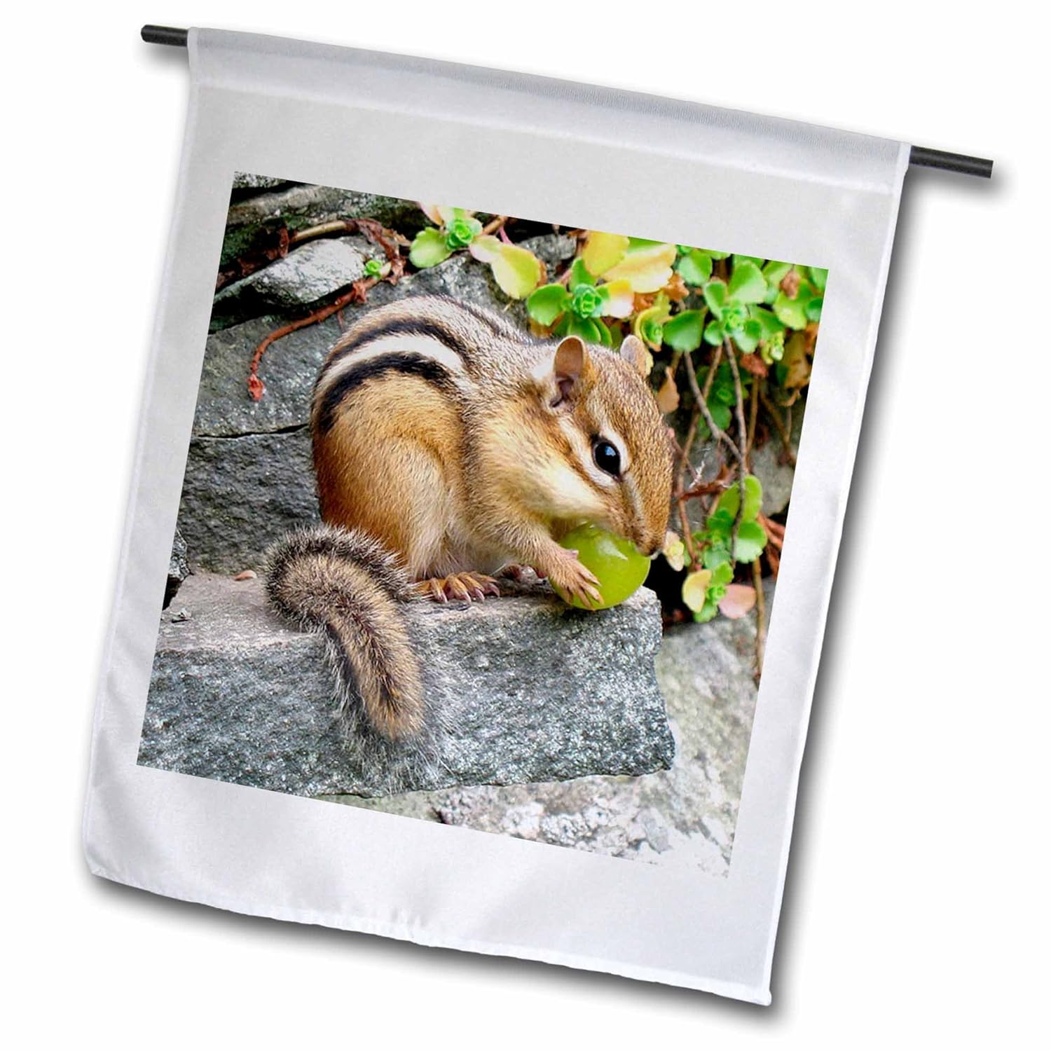 Best Lg Garden Flags