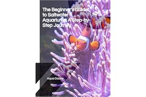 The Beginner's Guide to Saltwater Aquariums: A Step-by-Step Journey
