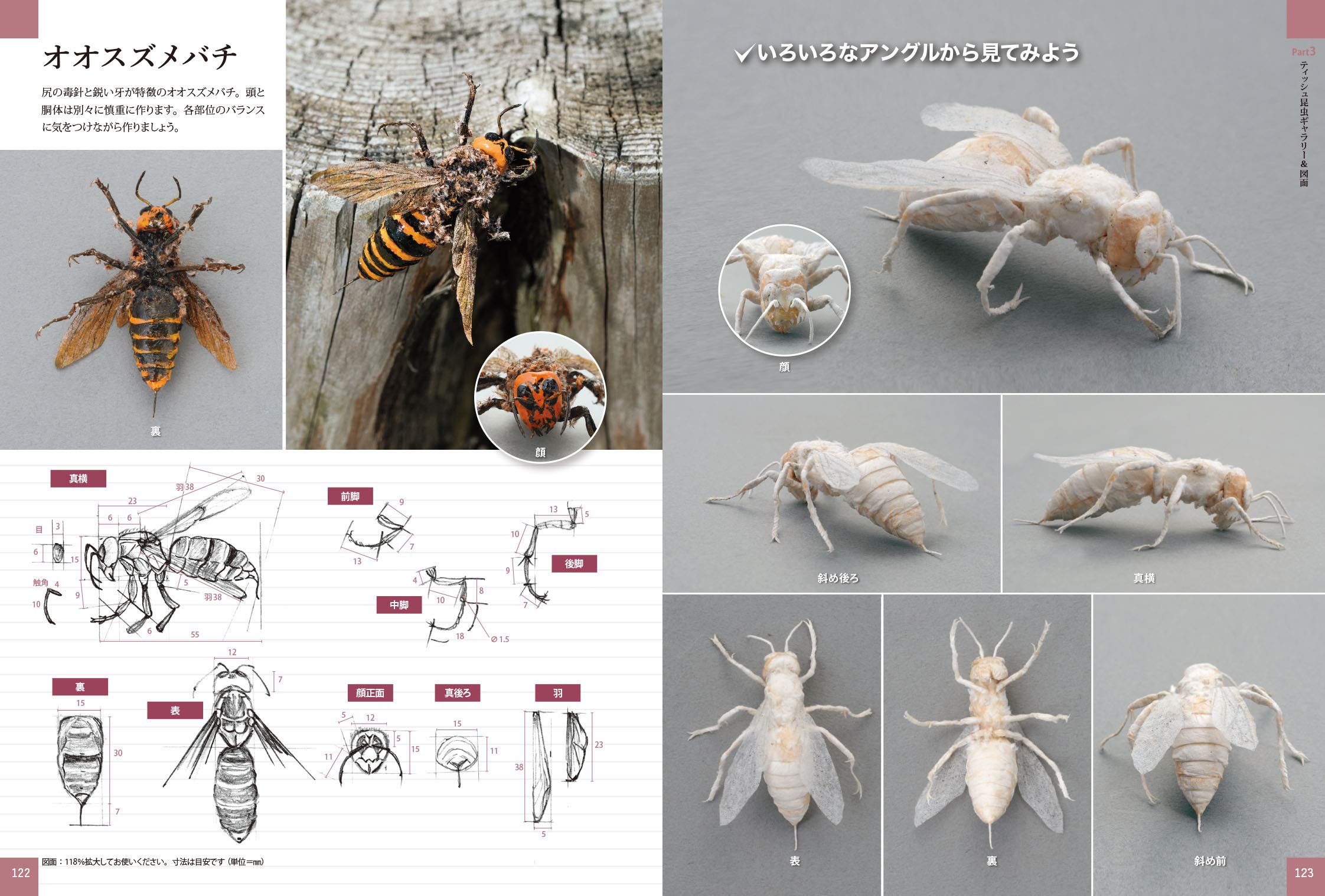 ティッシュで作るリアルな昆虫 基本のカナブンからカブトムシ アゲハ トノサマバッタの工作まで 駒宮 洋 本 通販 Amazon
