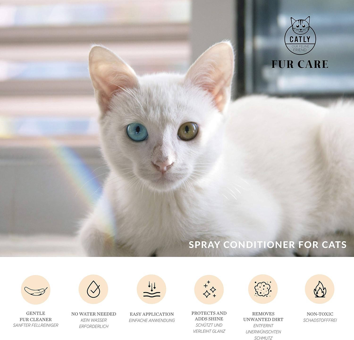 male or female kitten