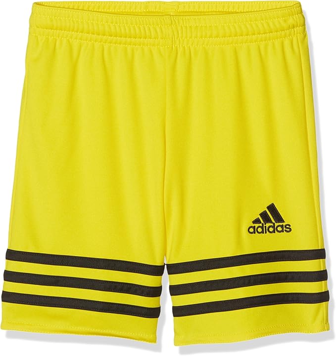 felpa champion uomo marroni