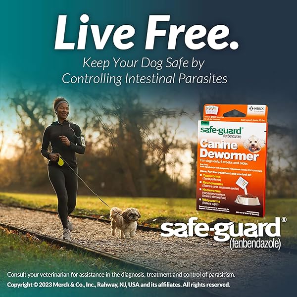 PRO-SENSE SAFE-GUARD 4, CANINE DEWORMER FOR DOGS, 3-DAY TREATMENT