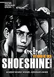 Shoeshine