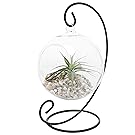 MyGift Charming Clear Glass Hanging Planter Terrarium Globe/Tea Light Candle Holder Lantern w/Black Metal Stand