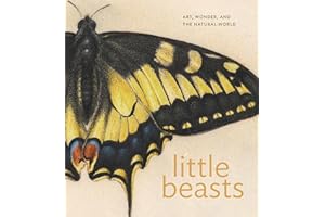Little Beasts: Art, Wonder, and the Natural World
