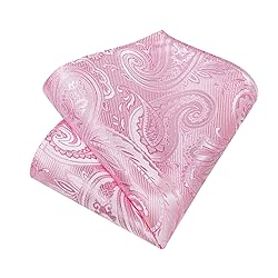 DiBanGu Silk Paisley Ties for Men Woven Necktie and