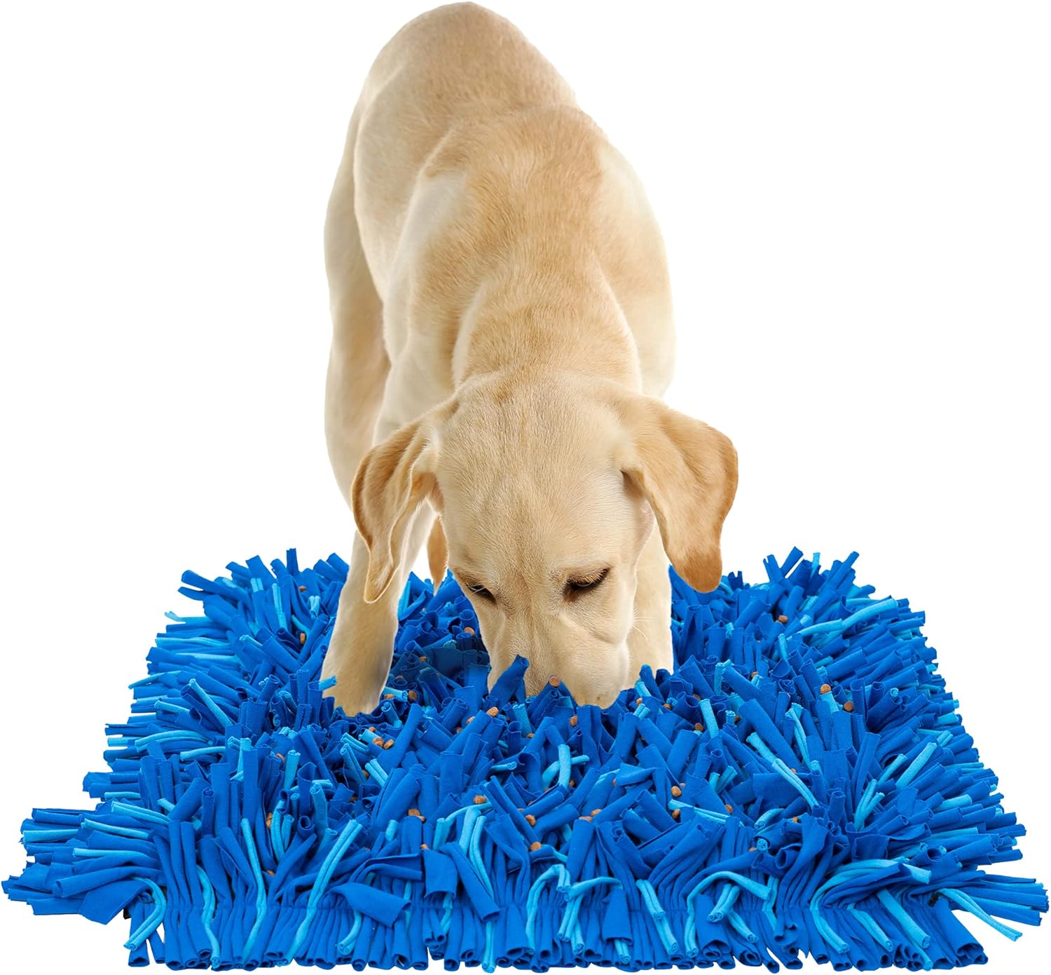 snuffle board