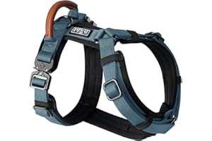 MADE TO ROAM Premium Explorer Harness - Y-Shaped Dog Harness with Adjustable Durable Nylon, Soft Padding, Metal Buckles and Leather Handle for Small, Medium, Large Dogs (California Horizon, Size 3)