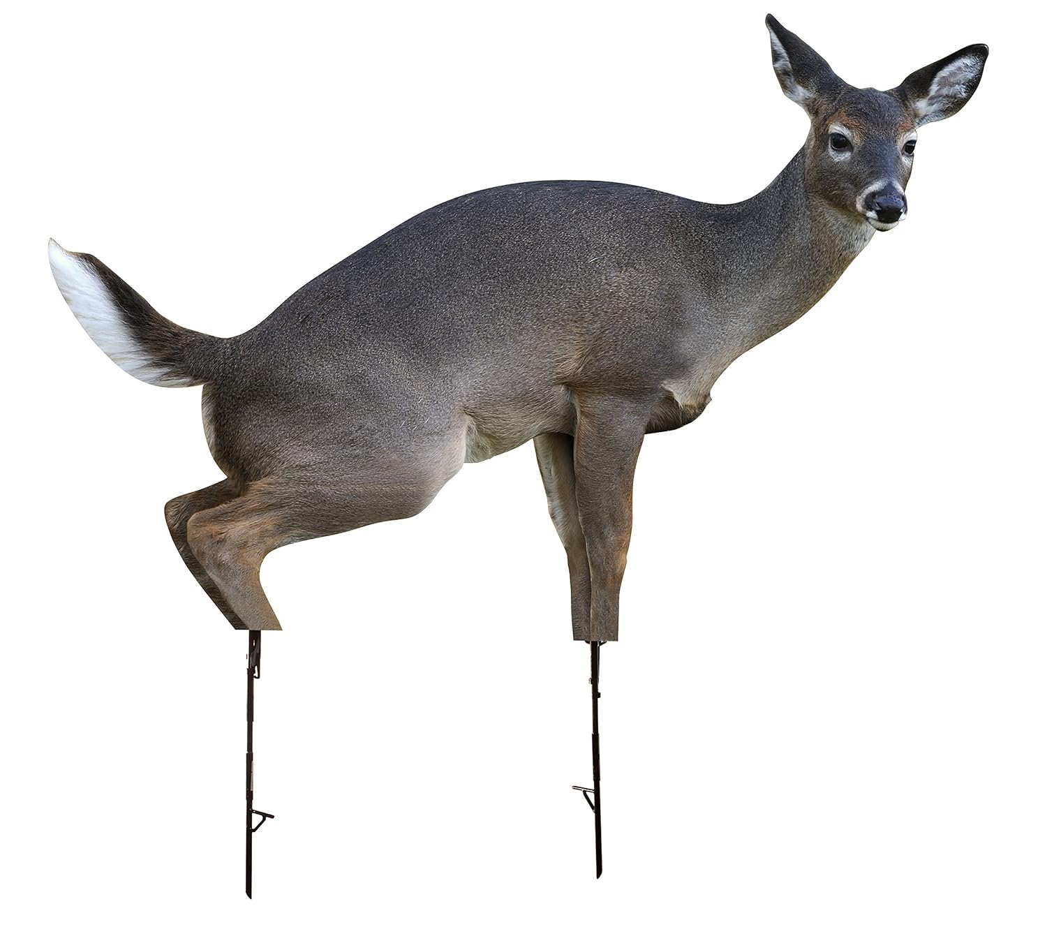 Best Deer Decoys of 2021 Buyer’s Guide