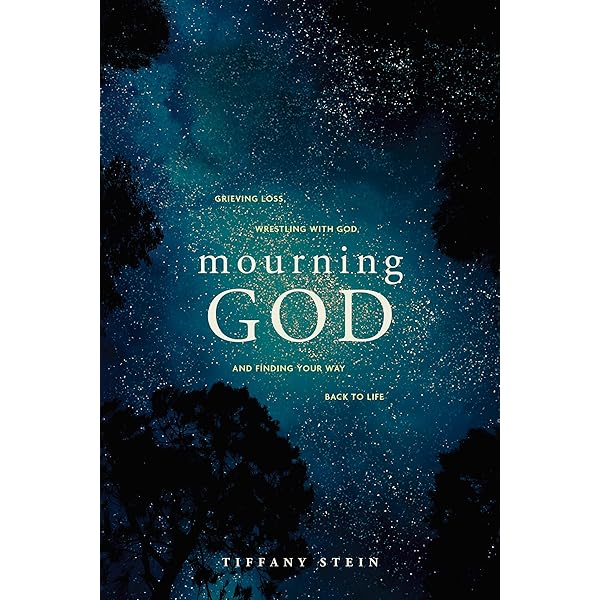 Amazon.com: New Critical Essays on Toni Morrison's God Help the
