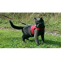 Amazon.co.uk Best Sellers: The most popular items in Cat ...