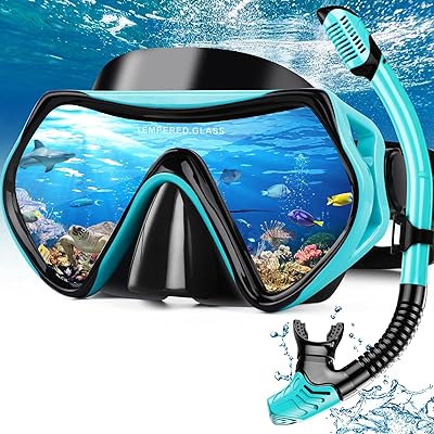 Schnorchelset Erwachsene Anti-Fog Taucherbrille mit 180° Panorama Sichtfeld, Dry Top Schnorchel 3-Kanal System, Auslaufsichere Tauchmaske aus gehärtetem Glas für Tauchen Schwimmen, Hydomi