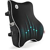 Lumbar Support Pillow,Memory Foam Back Support for Office Chair,Computer Chair,Car Seat,Recliner and Couch with Breathable 3D Mesh Cover,Ergonomic Design Orthopedic Backrest for Back Pain Relief