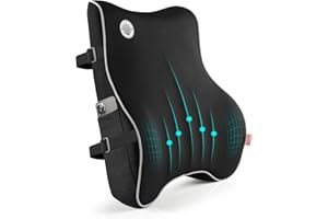 Lumbar Support Pillow,Memory Foam Back Support for Office Chair,Computer Chair,Car Seat,Recliner Breathable 3D Mesh Cover,Erg