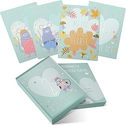 Mammacita Lot De 50 Cartes Pour Bebe Motif Pierre De Naissance Format A5 Carte Mensuelle Pour Bebe Garcon Fille I Cadeau Ideal Pour Naissance Baby Shower Amazon Fr Bebes Puericulture