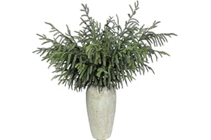 YXZZWL 8 Pcs Christmas Norfolk Pine Branches, 36 Inch Real Touch Artificial Norfolk Pine Branch Faux Cedar Pine Stem Fake Greenery Picks for Vase DIY Garland Wreath Home Garden Decoration