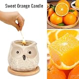 Kinforse Enchanting Owl Scented Candle Sweet Orange Aromatherapy view 3