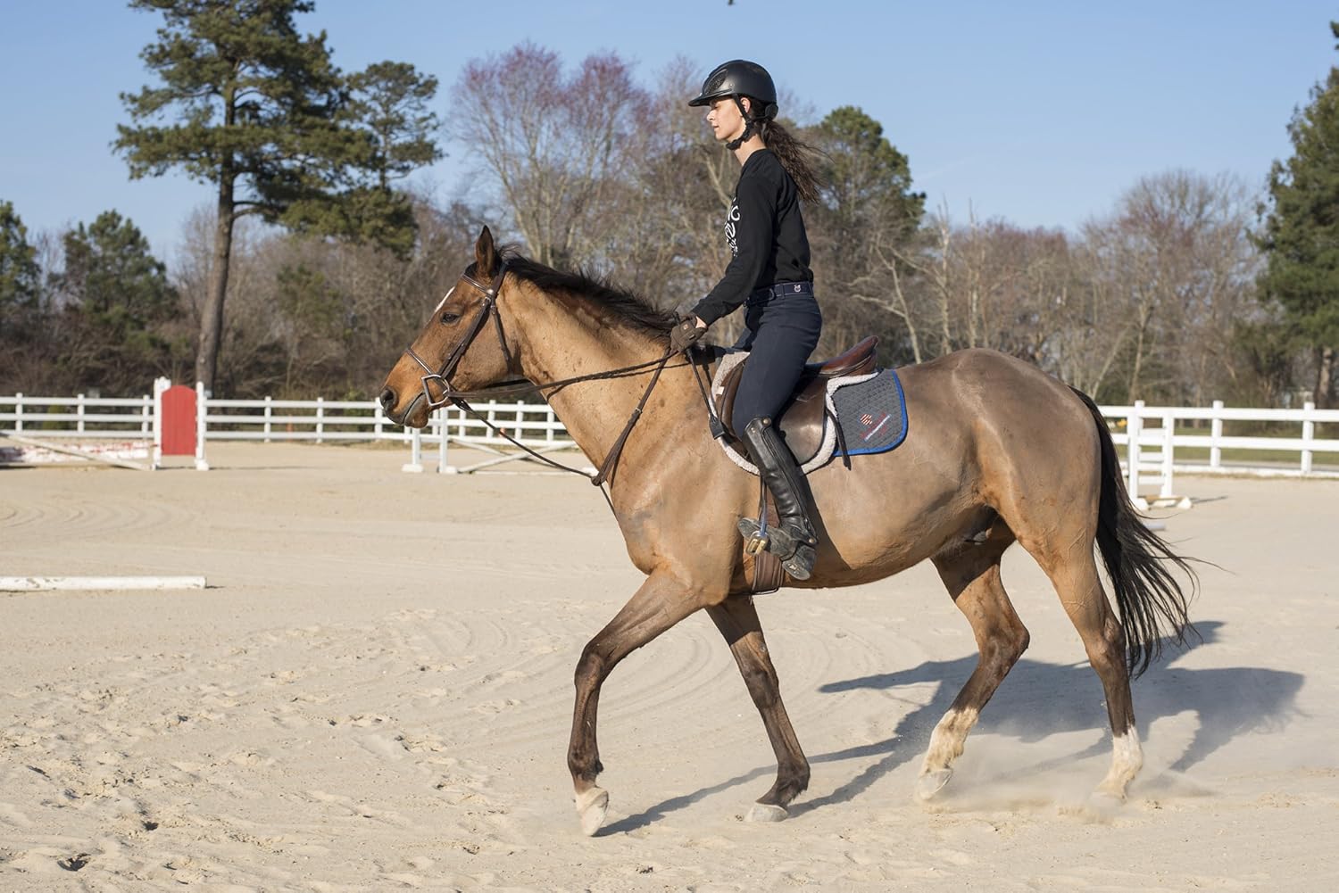 Intrepid International Equestrian Jump Bat: Sports & Outdoors