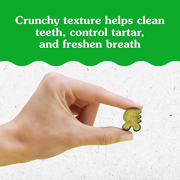 GREENIES CAT TREATS, VETERINARIAN-RECOMMENDED ADULT NATURAL DENTAL CAT TREATS, TEMPTING TUNA FLAVOR, 9.75 OZ. TUB