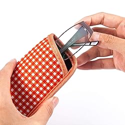 TRIUMPH VISION Small Eyeglass Case for reading