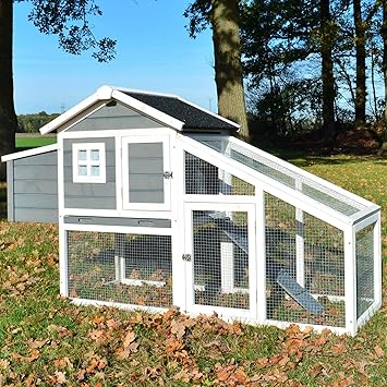Zooprimus Poulailler Extérieur En Bois De Haute Qualité Avec Toit
