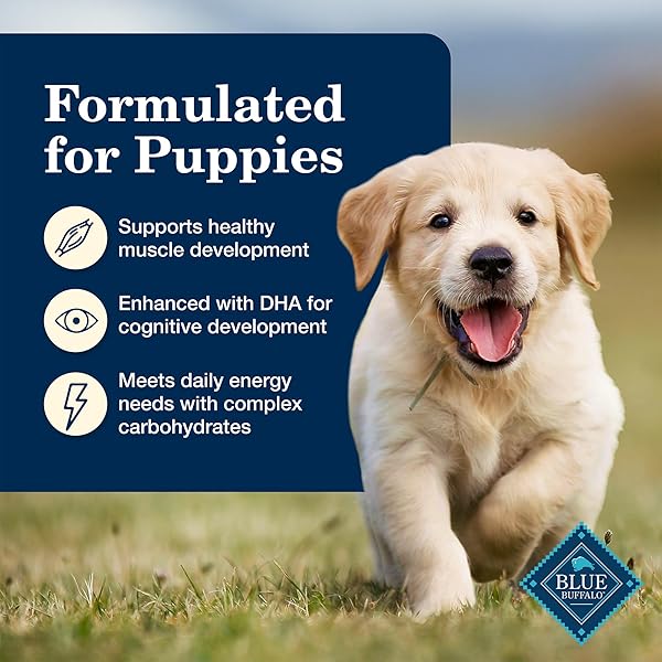BLUE BUFFALO HOMESTYLE RECIPE PUPPY WET DOG FOOD, MADE WITH NATURAL INGREDIENTS, CHICKEN DINNER WITH GARDEN VEGETABLES & BROWN RICE, 12.5-OZ CANS (12 COUNT)