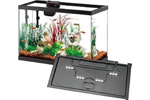 Aqueon 20 Gallon Aquarium Starter Kit with SmartClean Filtration and LED Lighting for Tropical Freshwater Fish