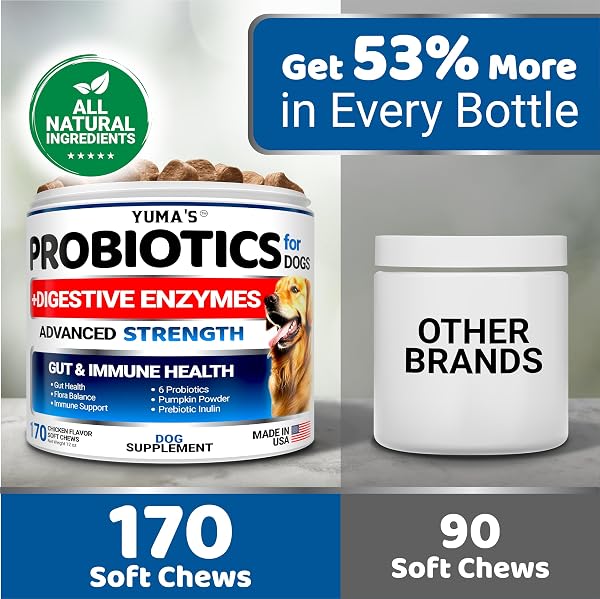 PROBIOTICS FOR DOGS AND DIGESTIVE ENZYMES – 170 DOG PROBIOTICS CHEWS – DOG PROBIOTIC – ANTI DIARRHEA, UPSET STOMACH & GAS RELIEF, CONSTIPATION, CANINE PREBIOTIC – PET FIBER SUPPLEMENT – GUT HEALTH