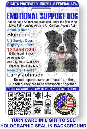 Just 4 Paws Custom Holographic Qr Code Emotional Support Id Card With Registration To U S Service Dogs Registry Plus Id Holder Free Digital Id Portrait Style Pet Supplies Id Tags