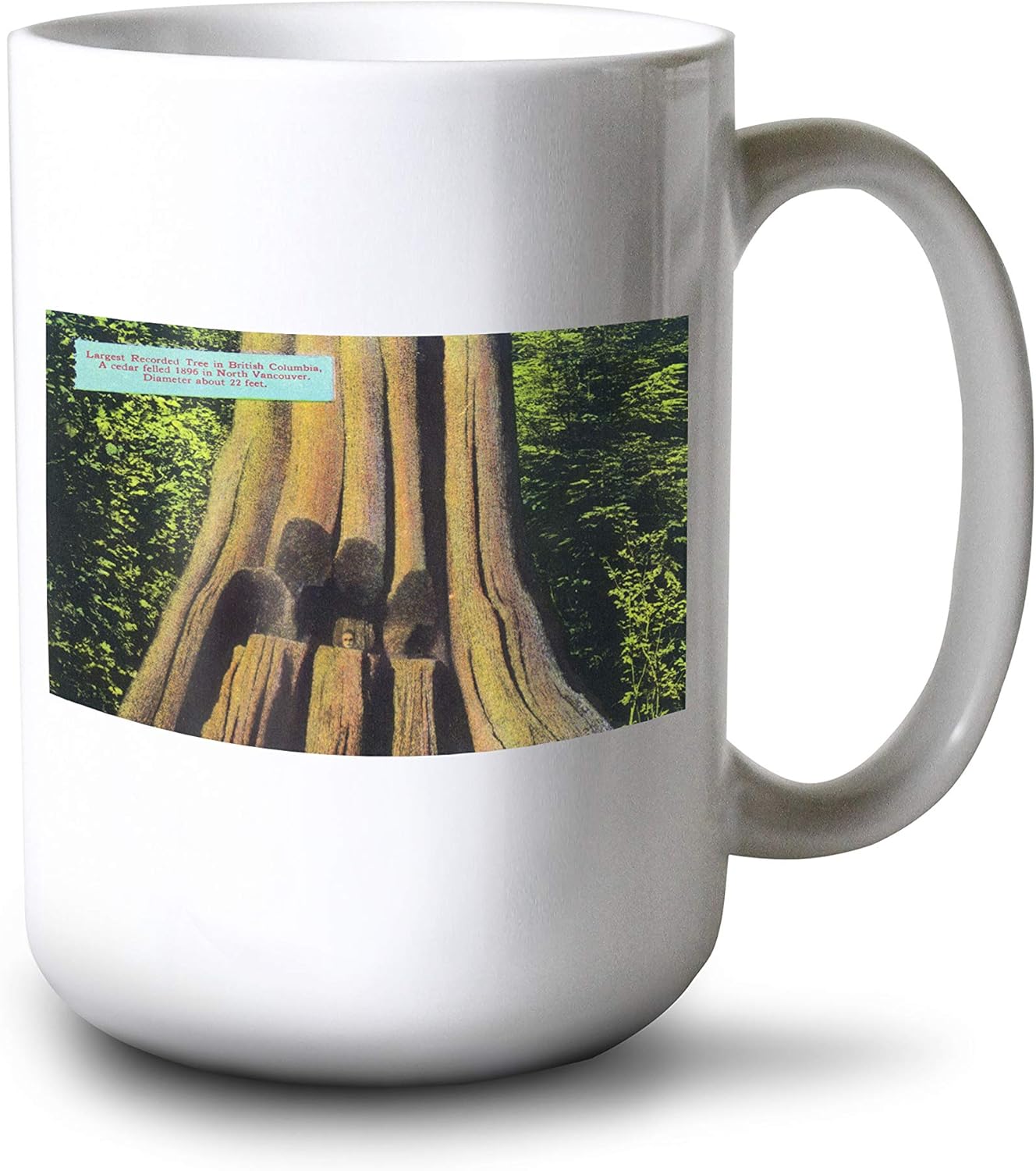 British Columbia, Canada - Largest Recorded Tree in BC, 1896 Cedar Tree Felled (15oz White Ceramic Mug)