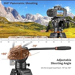Cayer BF30L Video Tripod with Fluid Head, 73" Heavy