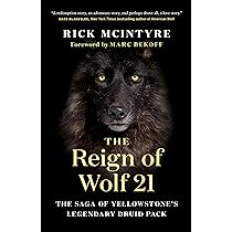 The Reign of Wolf 21: The Saga of Yellowstone's Legendary Druid