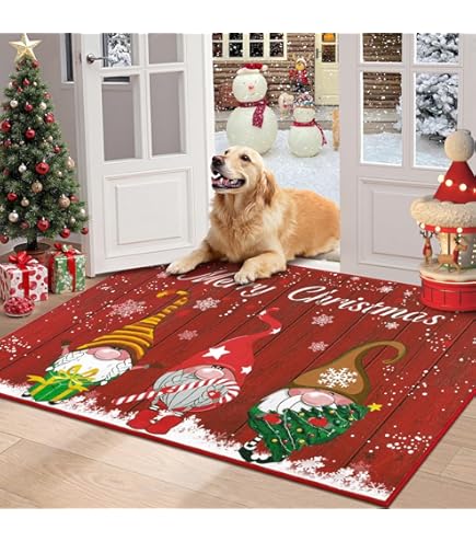 LUUCOZK Tapis De Porte D'entrée Antidérapants Pour Entrée Intérieure