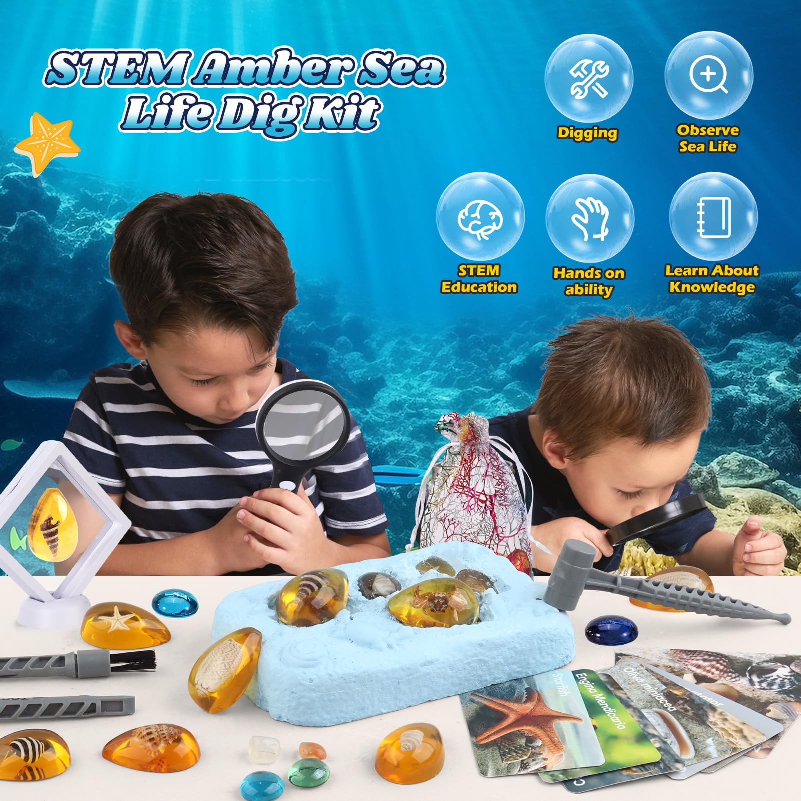 Ocean Dig Kit - 8 Specimens Excavation Kit, Gemstone for Kids, Fossil Ocean Toys Dig Kits for Amber Collection, Ocean Toys for Boys Girls 6 and up Year Old Birthday Gifts