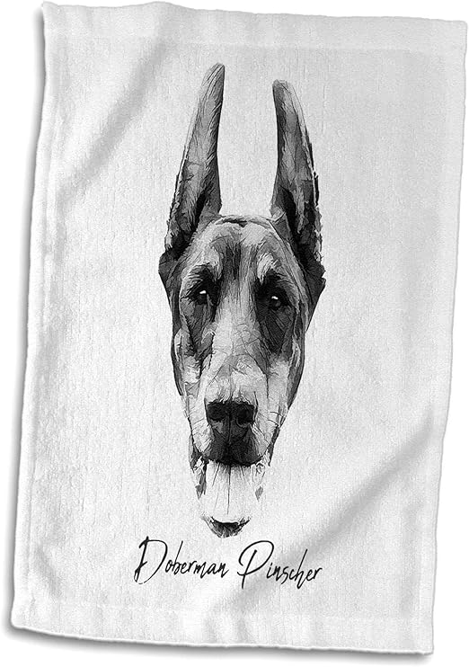 doberman black and white