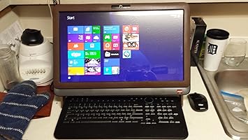 Dell Inspiron One 25 Io25 3636msl All In One Desktop Pc Amd Athlon Ii X2 240e Amazon Ca Electronics